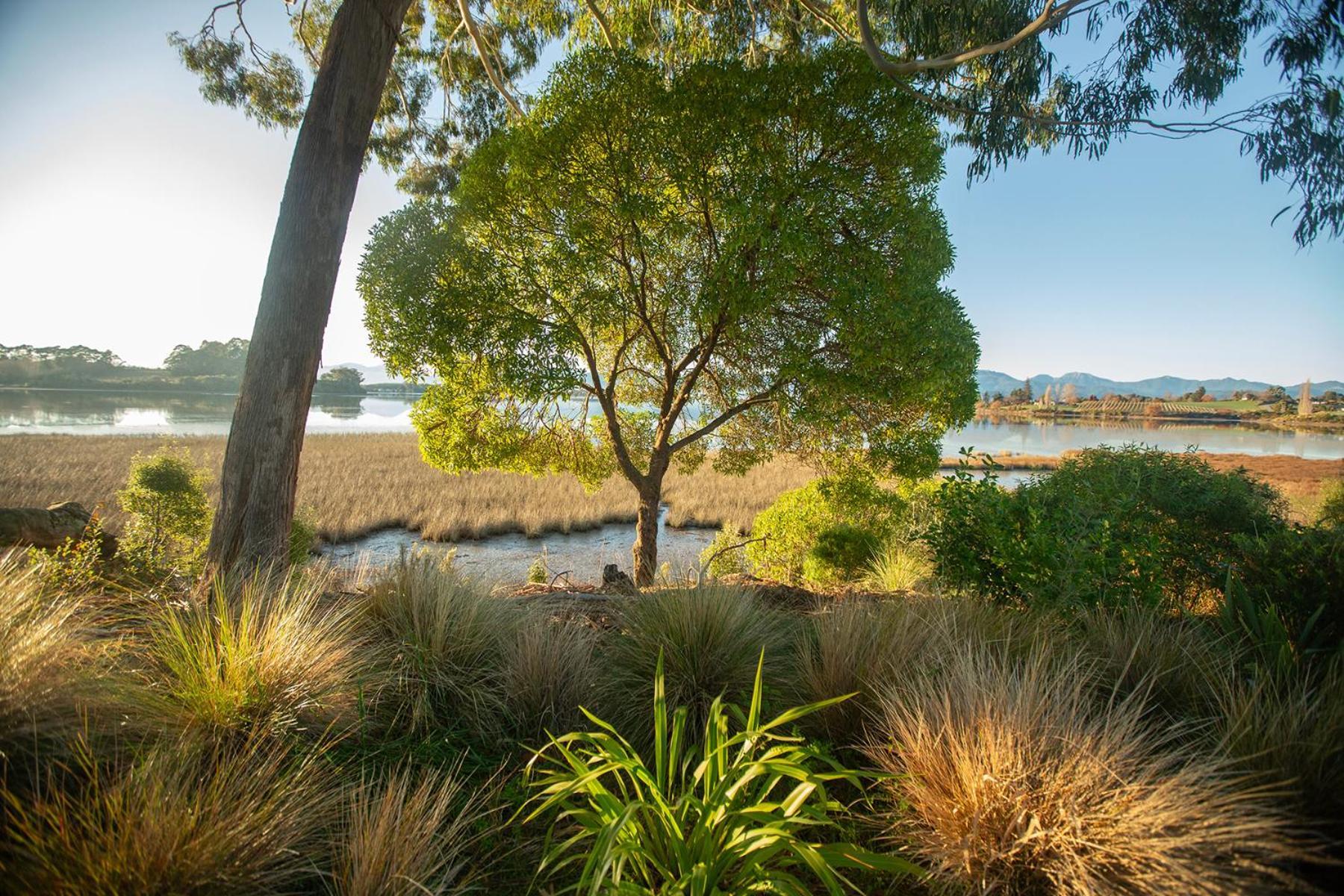 The Apple Pickers' Cottages Holiday home Mapua